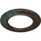 Ekena Millwork Holmdel Ceiling Medallion (Canopies up to 12 7/8"), 20 7/8"OD x 12 7/8"ID x 1"P, Bronze Blue Patina CM20HOBBS - alternate 3
